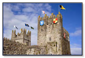 Fethard Festival Flags