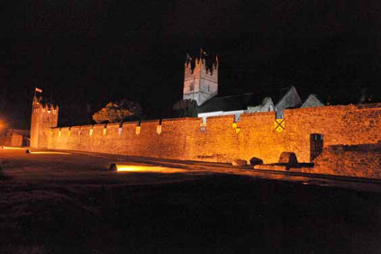 fethard medieval 2009 report