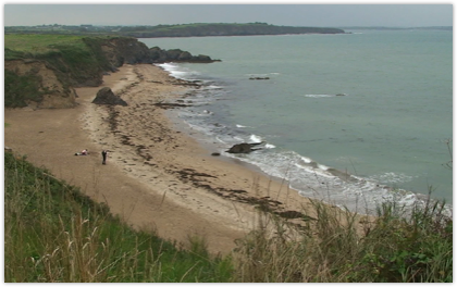 Normans landing site in Ireland