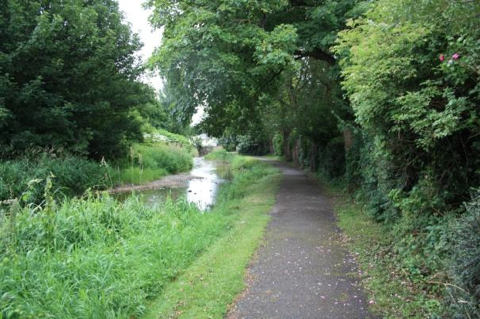 Fethard river walk.