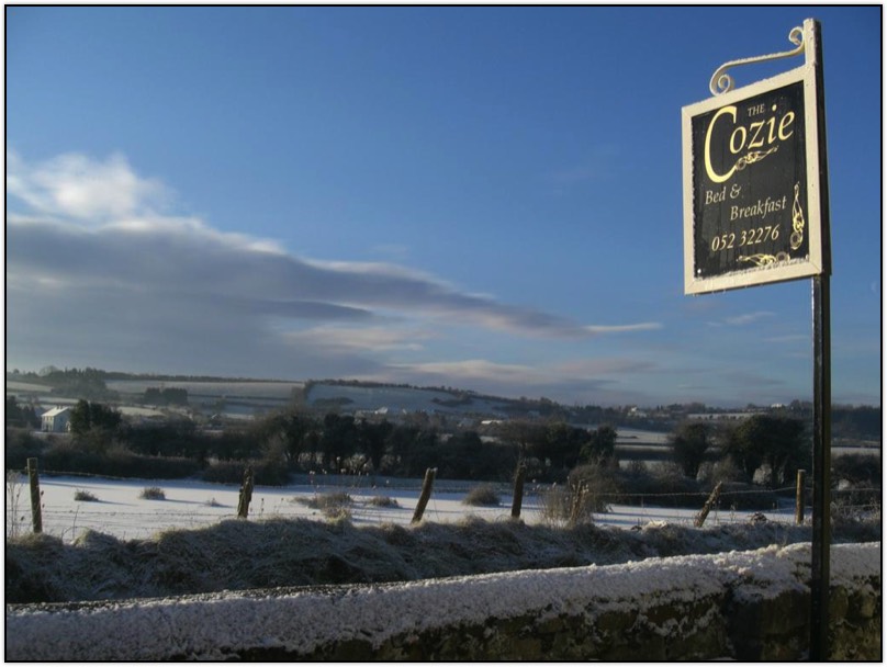 The Cozie B & B in Fethard