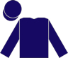 240px-Racing_silks_of_Susan_Magnier.svg