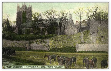 Horses by the river in Fethard